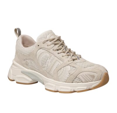 Кроссовки Dior Chrono Бежевые F